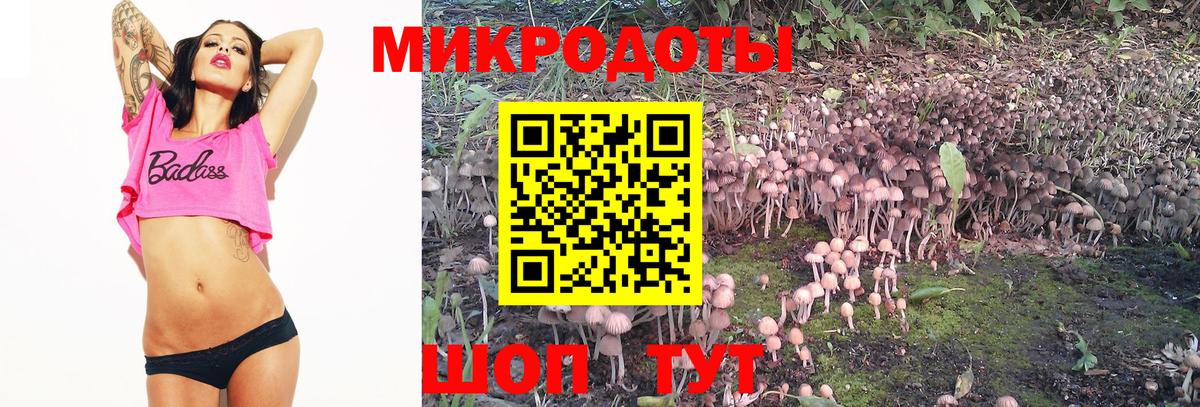 Галлюциногенные грибы ЛСД Берёзовский