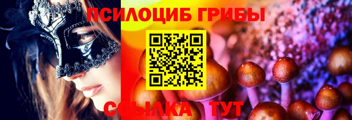 Псилоцибиновые грибы Psilocybe  Вход с VPN  Берёзовский  Галлюциногенные грибы Magic Shrooms 