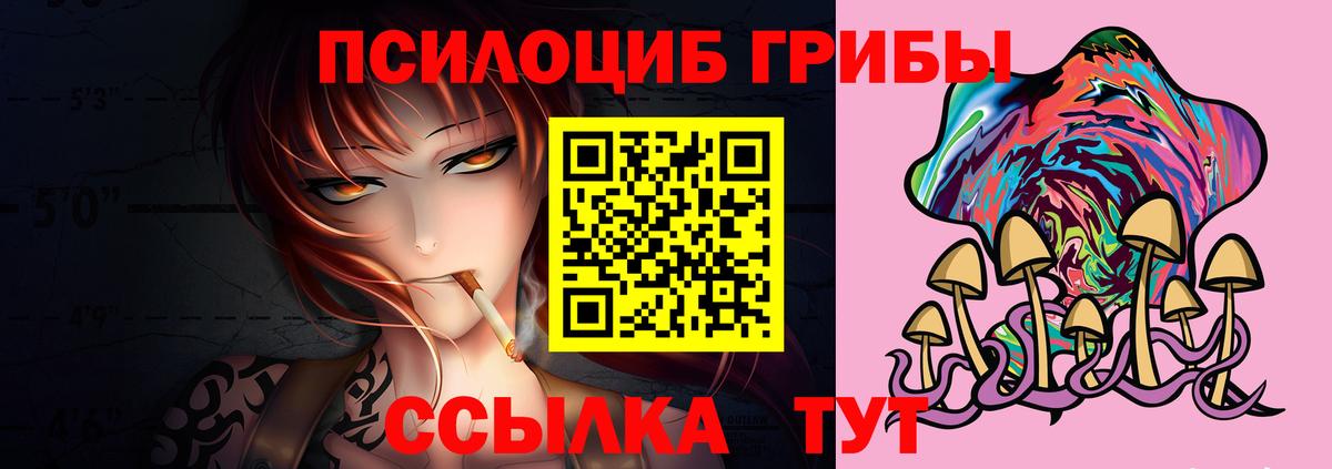 где купить   Берёзовский  Псилоцибиновые грибы Psilocybine cubensis  Псилоцибиновые грибы мухоморы 