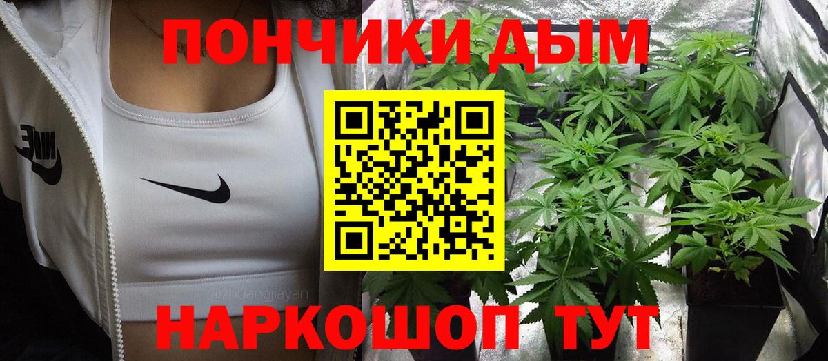 Каннабис конопля  Конопля индика  Берёзовский 